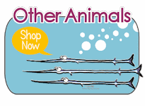 Other Animals